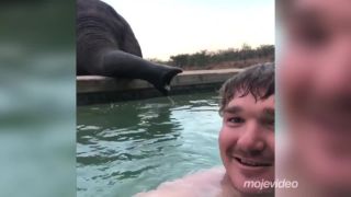 To je nejaká vajcovka? (JAR)