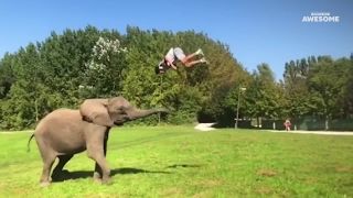 People Are Awesome -  Best of 2018