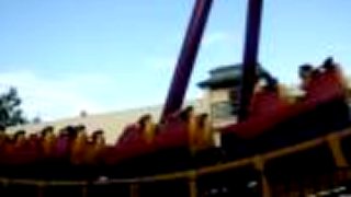 Walibi kobra