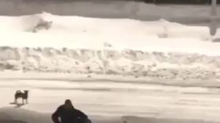 Radšej sa dvihol a šiel po svojich