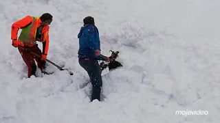 Železničiari pluhom zahrnuli kamzíka, potom ho vyhrabávali