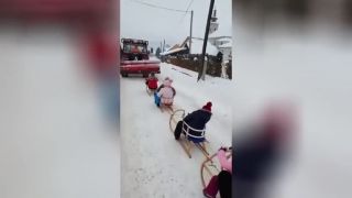 Keď sa dedina ide sánkovať (východné Slovensko)