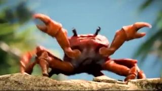 Noisestorm - Crab Rave [Monstercat Release]