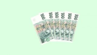 Fakt sa Čechom oplatí koruna?