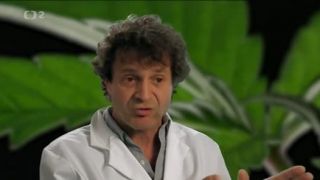 Konopa - zázračný liek?