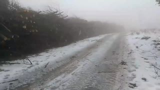 Slovenský kras - Hačavská planina (slušný výrub)