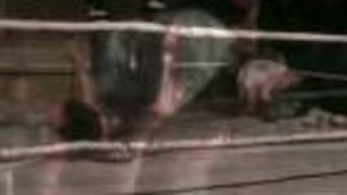 Domaci Wrestling IYHWA
