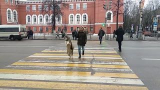 Fidel chodí po priechode pre chodcov zásadne vzpriamene