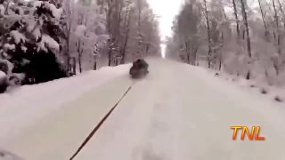 Najväčší magori z Ruska.