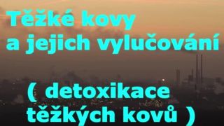 Těžké kovy a jejich vylučování detoxikace
