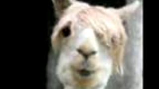 Essential Mix 2009 - 07 - 25