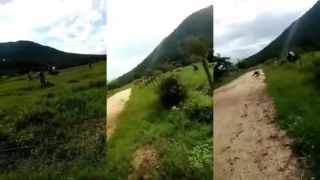 Neser pštrosa, ktorého nepoznáš! 2