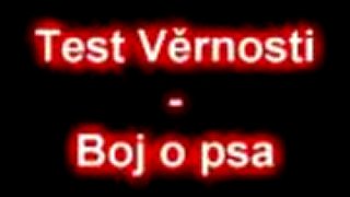 Test vernosti - boj o psa