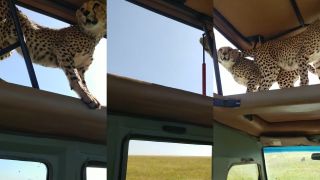 Zážitok na celý život (safari v Afrike)