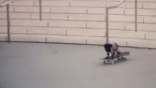 Pes skateboardista