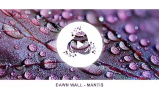 DAWN WALL - MANTIS