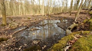Dolný vrch - neznáma planina v Slovenskom krase