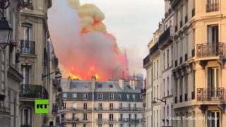 V Paríži horí katedrála Notre - Dame