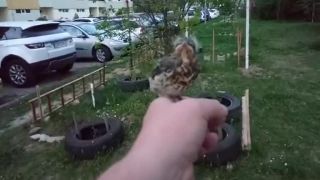 Sme národ srdečných zbojníkov, Jergušov?