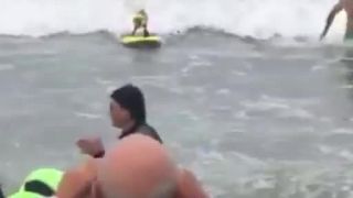 Nádejný psí surfista