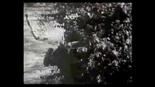 Panzerfaust 1941 - 2019