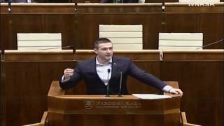 Privatizácia podnikov