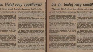 Sú dni bielej rasy spočítané?
