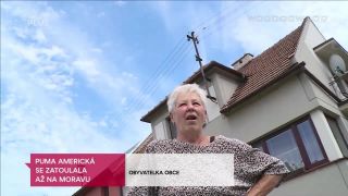 Dve pumy, ale nie z Puma Punku | 6.7.2019