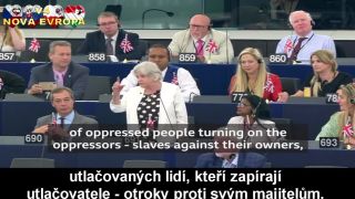 Ann Widdecombeová (Brexit Party) vs Brusel