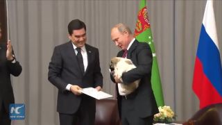 Putin dostal strážneho psa od Turkmenistan Stredoázijský ovčiak
