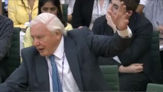 David Attenborough pred britskou parlamentnou komisiou