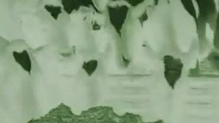 Paul McCartney o živočíšnej výrobe