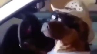 Pred cestou na kúpalisko