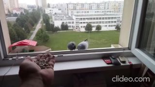 Sú za mnou priam až zbláznené