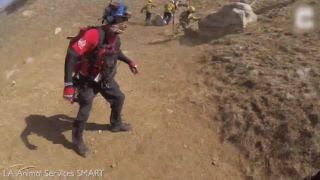Záchrana koňa pomocou helikoptéry (USA)