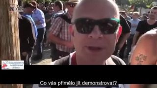 Demonstrace AfD v Hannoveru