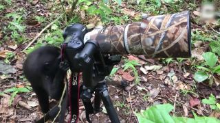 Zvedavá opica skúša fotoaparát (Indonézia)