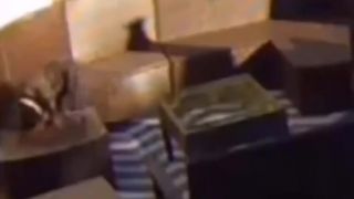 Buldoček sa zasekol v stole