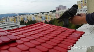 Tak řekněte jim, že Paganini hraje jenom jednou...