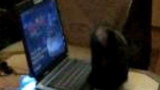 Mikeš a PC