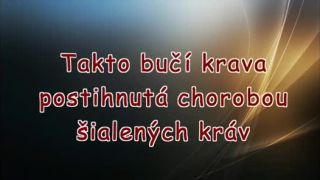 Moderná diagnostika choroby šialených kráv