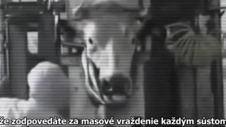 Mistro - Let 'Em Loose (vegánsky hip - hop)