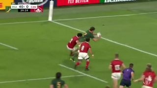 Gazely z jar si pochutnali na javorových listoch 66 - 7