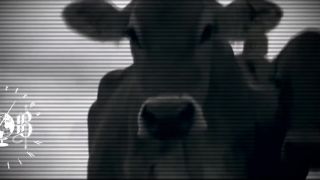 Mistro - Holocaust (mizantropický hip - hop)