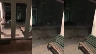 Takúto návštevu mali včera večer na policajnom oddelení v Starom