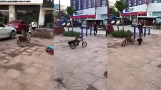 Zlez z toho bicykla, ty opičiak