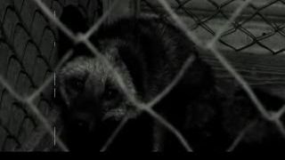 Gattaca - Naučená bezmocnost