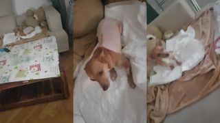 Pomoz trixi