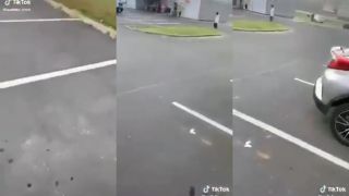 Gule poškriabané a má aj tašku jabĺk