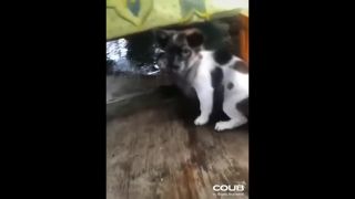Zaujímavosti a kompilácie ..